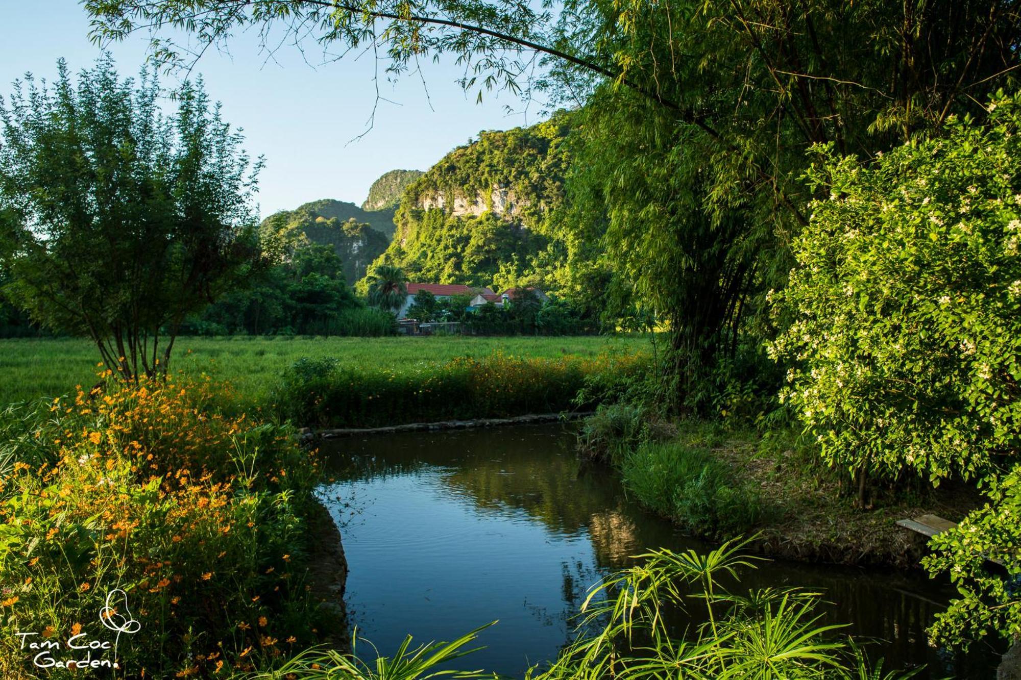Tam Coc Garden Resort Ninh Bình Exteriör bild