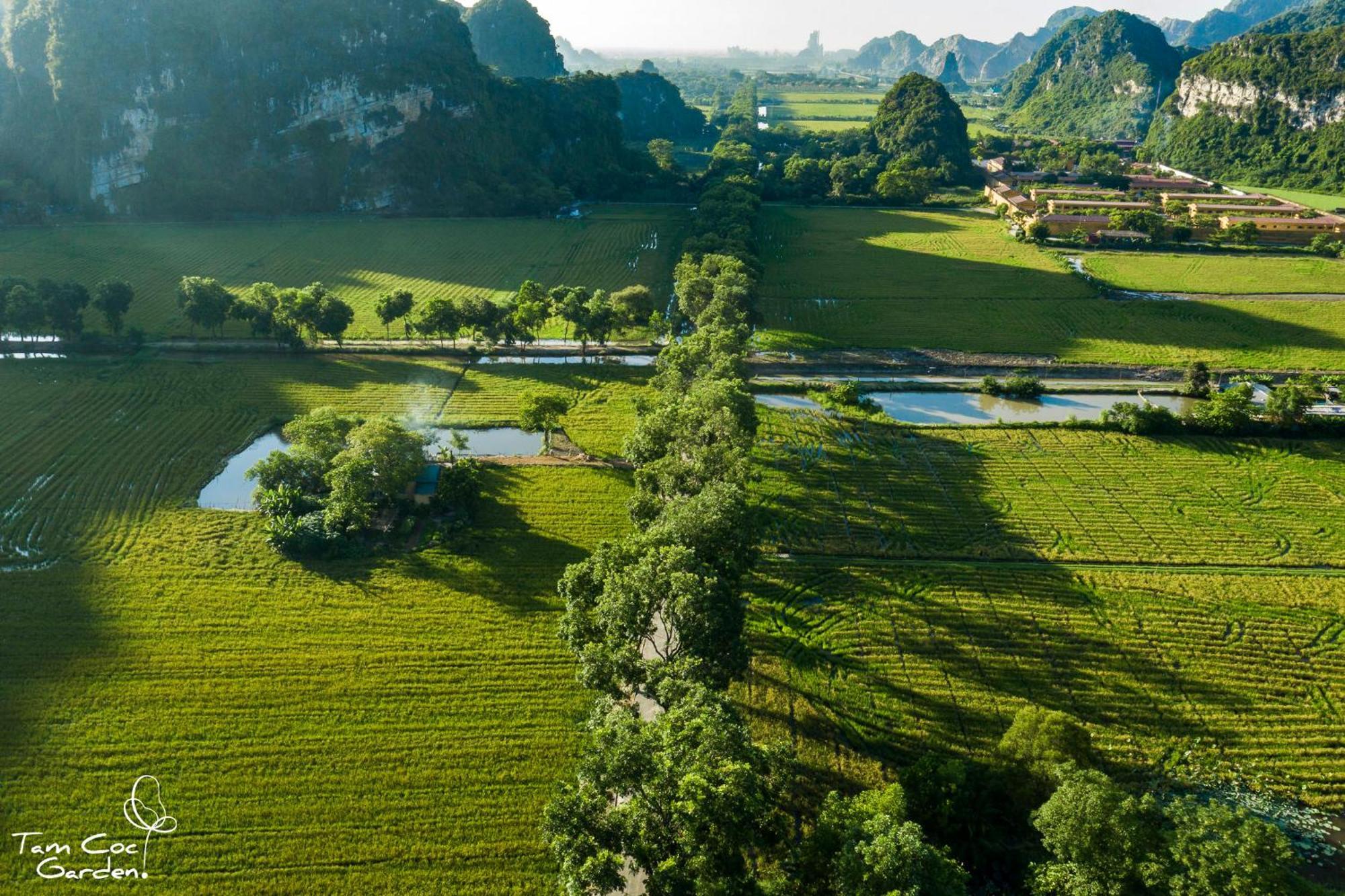 Tam Coc Garden Resort Ninh Bình Exteriör bild
